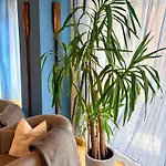 Apartman Lagoon Secret Velence